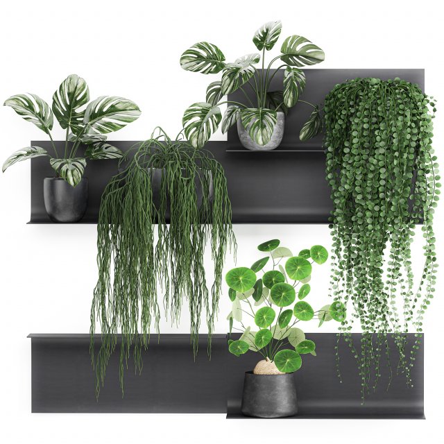 decorative shelf with flowers in pots 67 3D मॉडल .c4d .max .obj .3ds .fbx .stl .blend 
