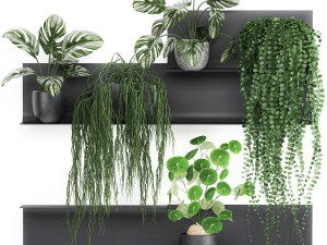 decorative shelf with flowers in pots 67 3D Model