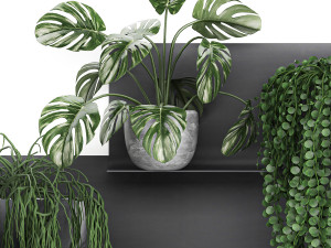 decorative shelf with flowers in pots 67 3D मॉडल