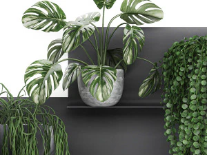 decorative shelf with flowers in pots 67 3D Model
