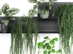 decorative shelf with flowers in pots 67 3D मॉडल