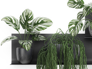 decorative shelf with flowers in pots 67 3D मॉडल