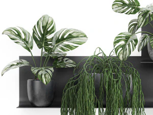 decorative shelf with flowers in pots 67 3D Model