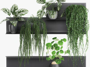decorative shelf with flowers in pots 67 3D Model