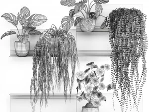 decorative shelf with flowers in pots 67 3D Model