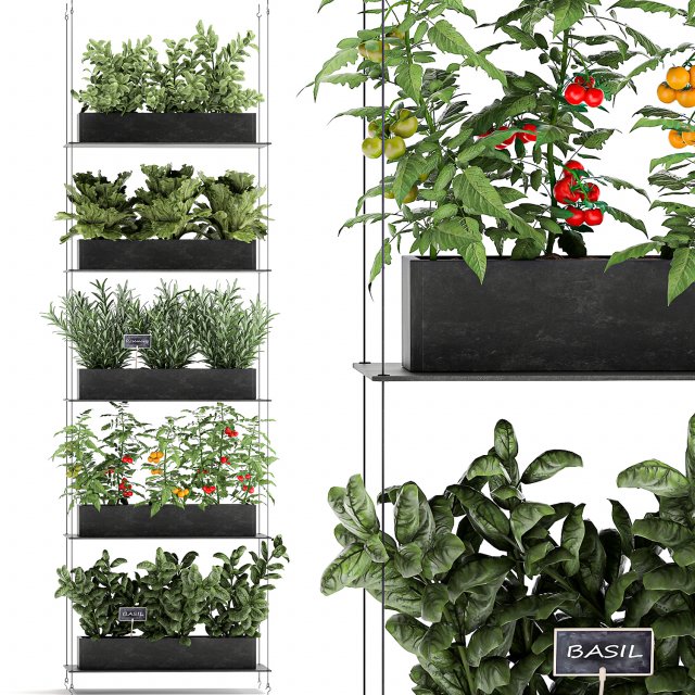 vertical garden for the kitchen 68 Modèle 3D .c4d .max .obj .3ds .fbx .stl .blend 