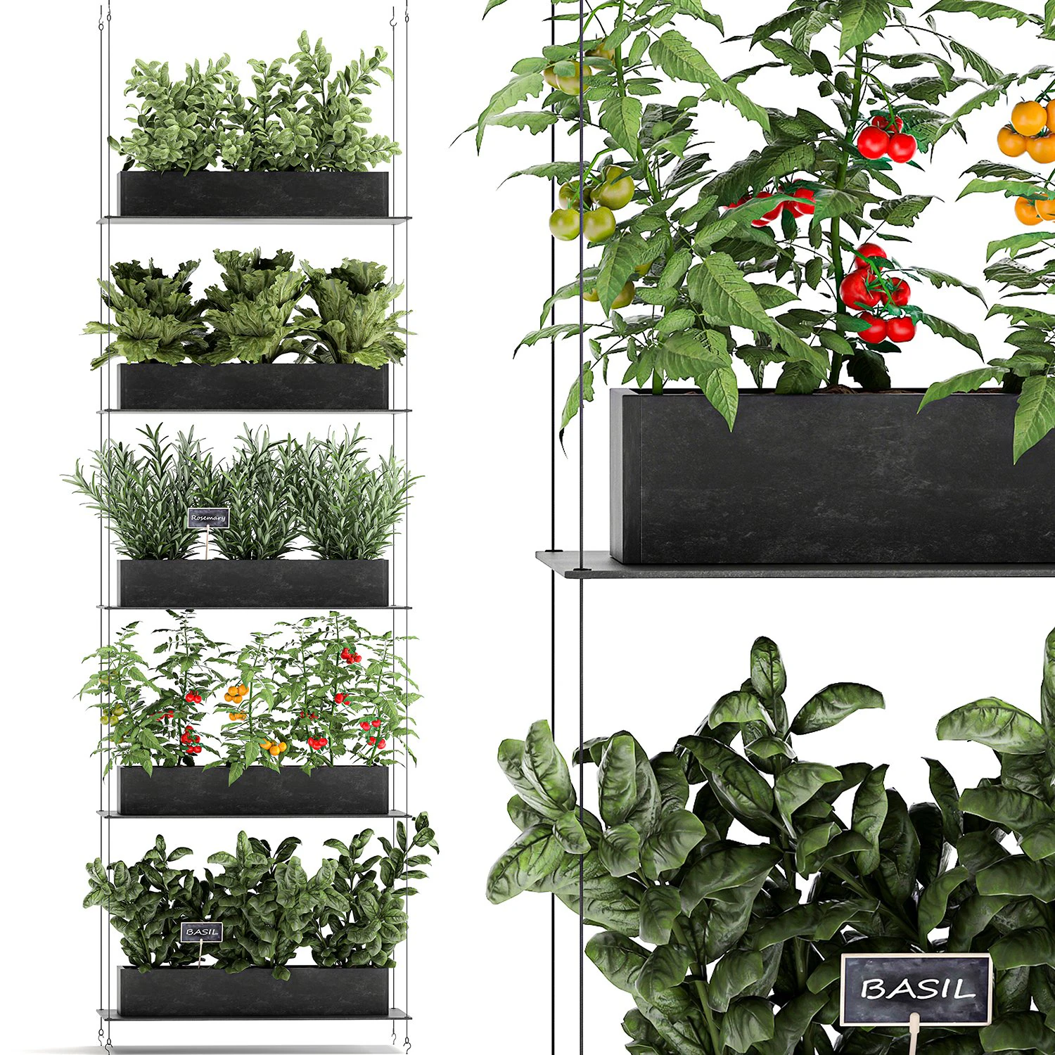 vertical garden for the kitchen 68 3D Model .c4d .max .obj .3ds .fbx .stl .blend