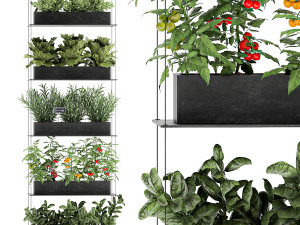 vertical garden for the kitchen 68 3D Model