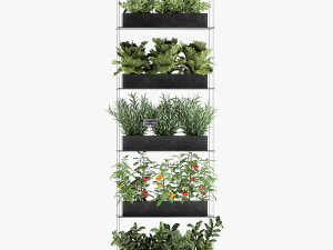 vertical garden for the kitchen 68 3D Model