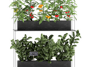 vertical garden for the kitchen 68 Modèle 3D