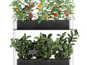vertical garden for the kitchen 68 3D Model