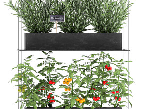 vertical garden for the kitchen 68 Modèle 3D