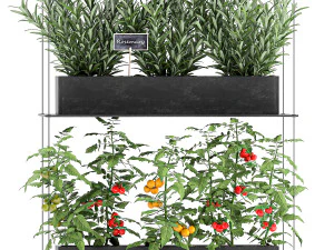 vertical garden for the kitchen 68 3D Model