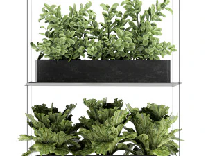 vertical garden for the kitchen 68 3D Model