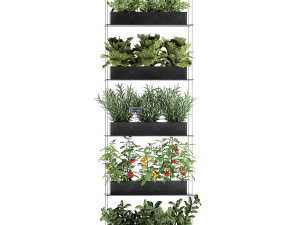 vertical garden for the kitchen 68 Modèle 3D