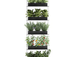 vertical garden for the kitchen 68 3D Model