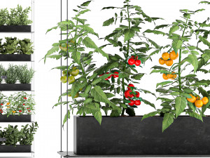 vertical garden for the kitchen 68 Modèle 3D