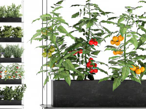 vertical garden for the kitchen 68 3D Model
