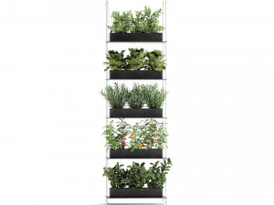 vertical garden for the kitchen 68 3D Model