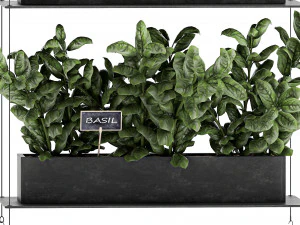 vertical garden for the kitchen 68 3D Model