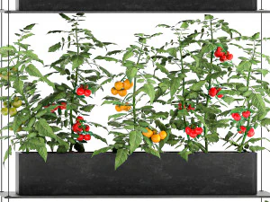 vertical garden for the kitchen 68 3D Model