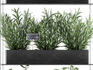 vertical garden for the kitchen 68 Modèle 3D