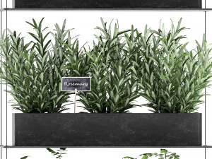 vertical garden for the kitchen 68 3D Model