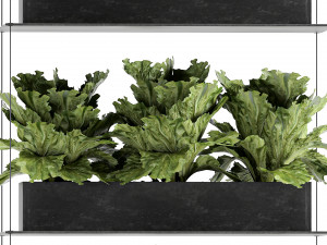vertical garden for the kitchen 68 Modèle 3D