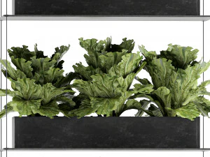 vertical garden for the kitchen 68 3D Model