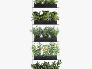 vertical garden for the kitchen 68 Modèle 3D