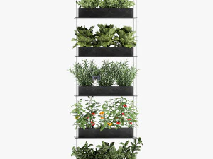 vertical garden for the kitchen 68 3D Model