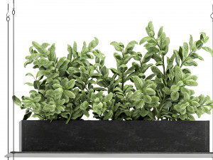 vertical garden for the kitchen 68 Modèle 3D