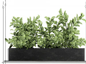 vertical garden for the kitchen 68 3D Model
