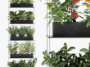 vertical garden for the kitchen 68 3D Model
