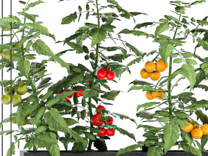 vertical garden for the kitchen 68 3D Model