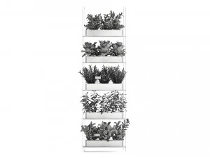 vertical garden for the kitchen 68 3D Model