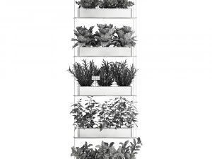 vertical garden for the kitchen 68 3D Model