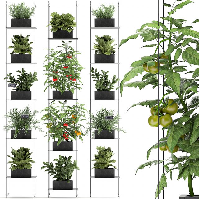 vertical garden for the kitchen 69 Model 3D .c4d .max .obj .3ds .fbx .stl .blend