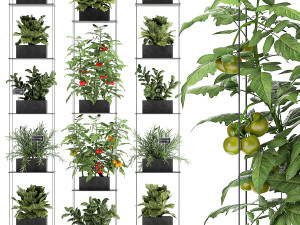 vertical garden for the kitchen 69 3D 모델