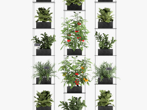 vertical garden for the kitchen 69 Model 3D