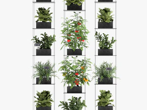 vertical garden for the kitchen 69 3D Model