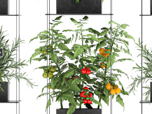 vertical garden for the kitchen 69 Model 3D