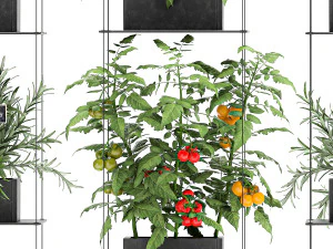 vertical garden for the kitchen 69 3D Model
