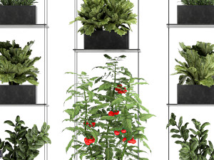 vertical garden for the kitchen 69 Model 3D