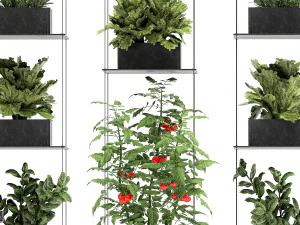 vertical garden for the kitchen 69 3D Model