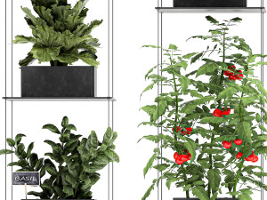 vertical garden for the kitchen 69 Model 3D
