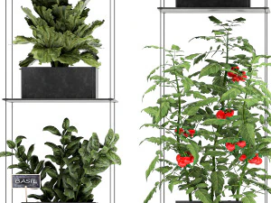 vertical garden for the kitchen 69 3D Model