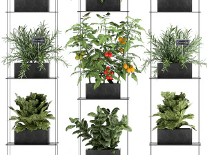 vertical garden for the kitchen 69 3D Model