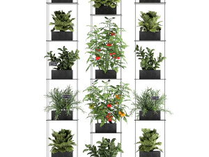 vertical garden for the kitchen 69 3D Model