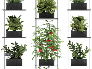 vertical garden for the kitchen 69 Model 3D